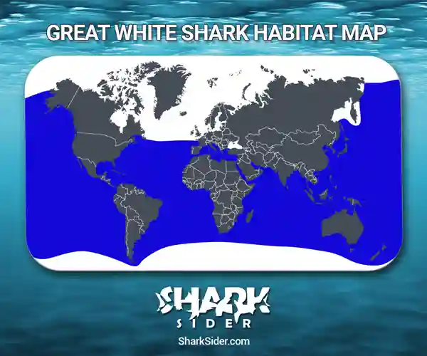 Great White Shark Habitat Map