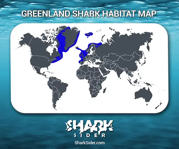 Greenland Shark Habitat Map
