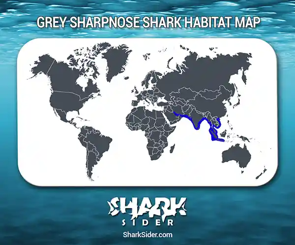 Grey Sharpnose Shark Habitat Map