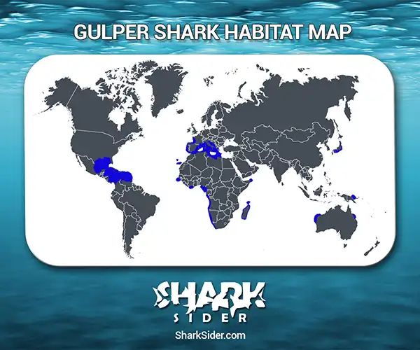Gulper Shark Habitat Map