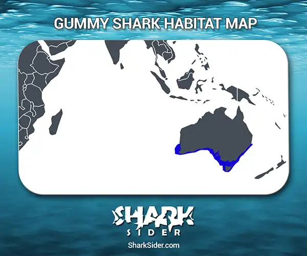 Gummy Shark Habitat Map