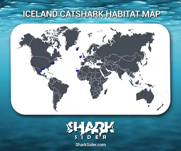 Iceland Catshark Habitat Map