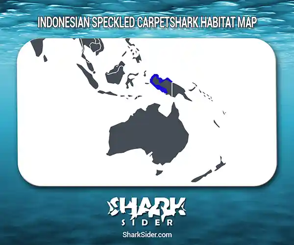 Indonesian Speckled Carpetshark Habitat Map