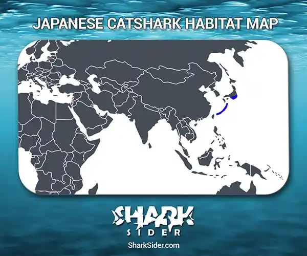 Japanese Catshark Habitat Map