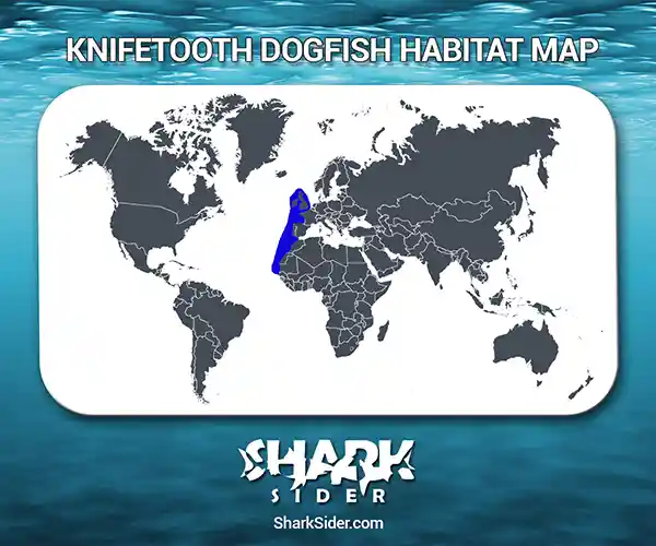 Knifetooth Dogfish Habitat Map