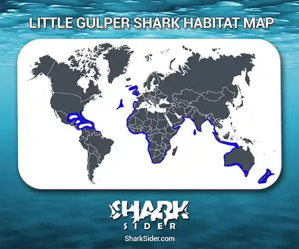 Little Gulper Shark Habitat Map