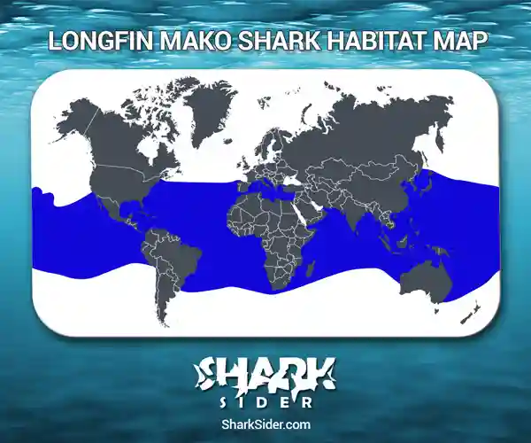 Longfin Mako Shark Habitat Map