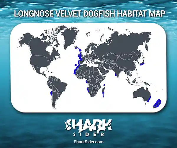 Longnose Velvet Dogfish Habitat Map