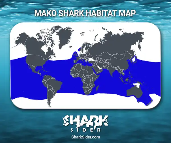 Mako Shark Habitat Map