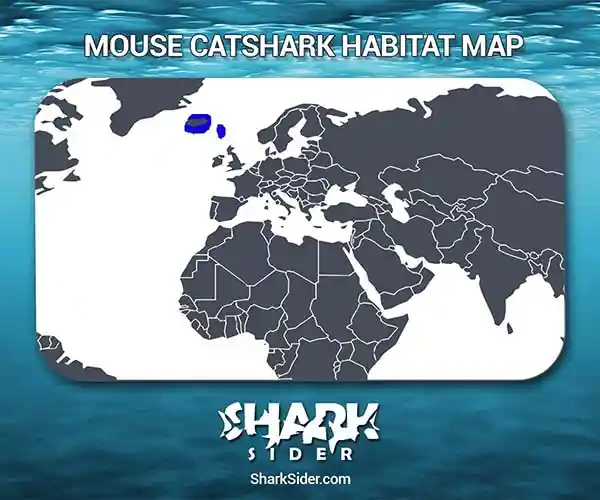 Mouse catshark Habitat Map