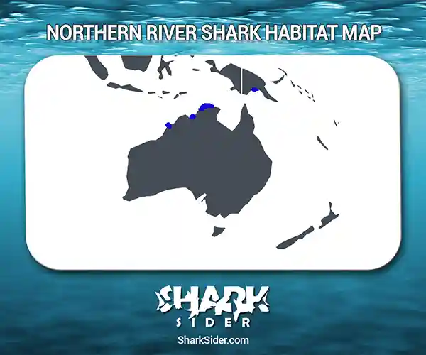 Northern River Shark Habitat Map