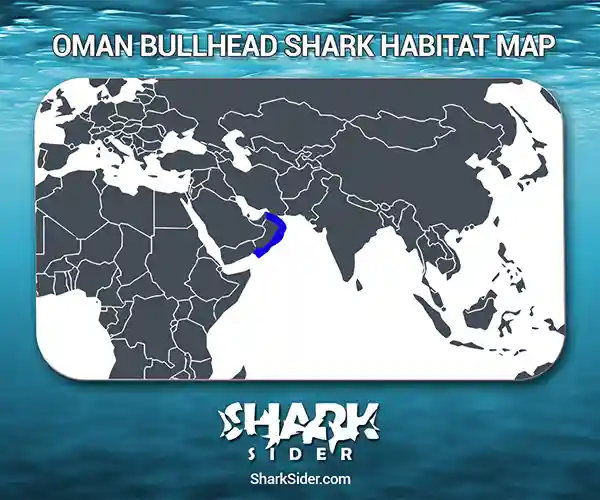 Oman Bullhead Shark Habitat Map