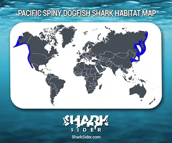 Pacific Spiny Dogfish Shark Habitat Map