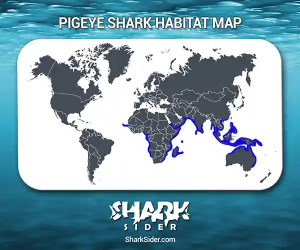 Pigeye Shark Habitat Map