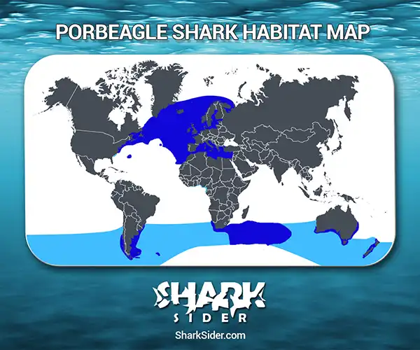 Porbeagle Shark Habitat Map