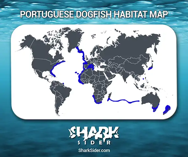 Portuguese Dogfish Habitat Map