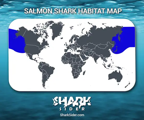 Salmon Shark Habitat Map