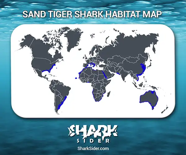 Sand Tiger Shark Habitat Map