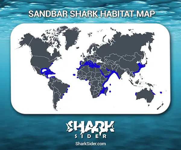Sandbar Shark Habitat Map