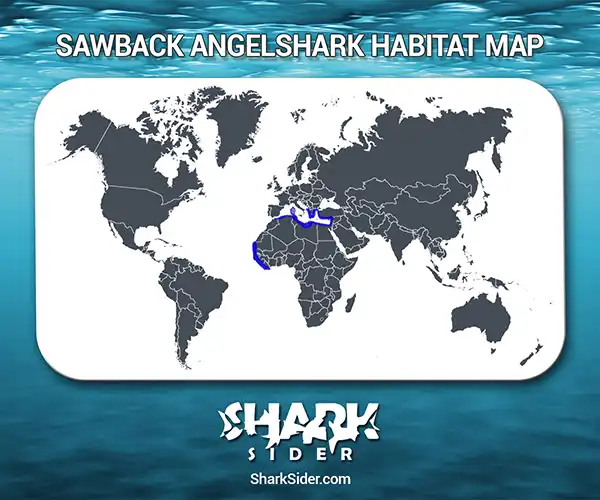 Sawback Angelshark Habitat Map