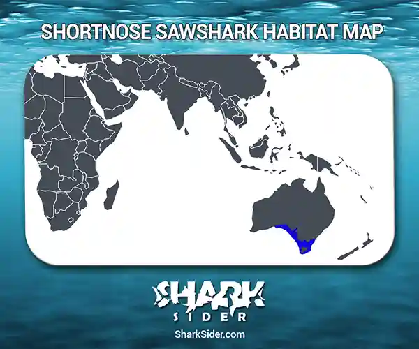 Shortnose Sawshark Habitat Map