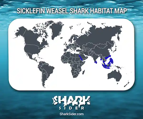 Sicklefin Weasel Shark Habitat Map