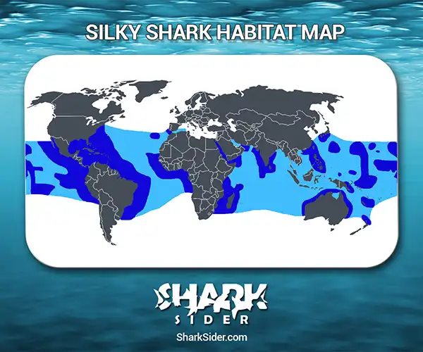 Silky Shark Habitat Map
