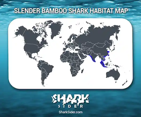 Slender Bamboo Shark Habitat Map