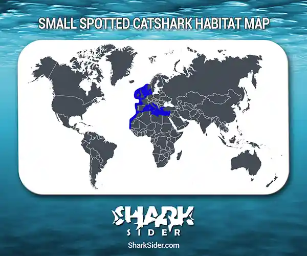 Small spotted catshark Habitat Map