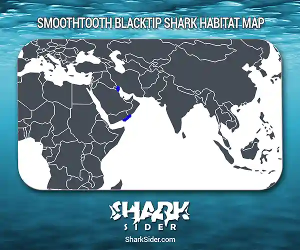 Smoothtooth Blacktip Shark Habitat Map
