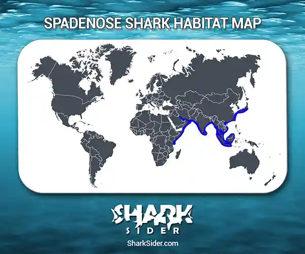 Spadenose Shark Habitat Map