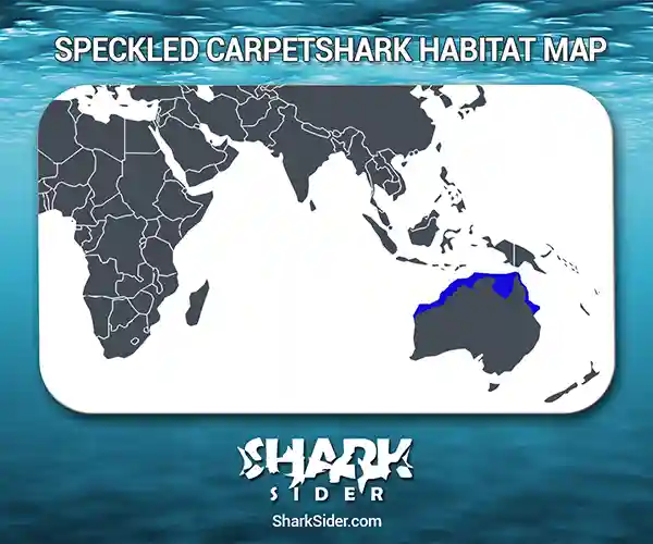 Speckled Carpetshark Habitat Map