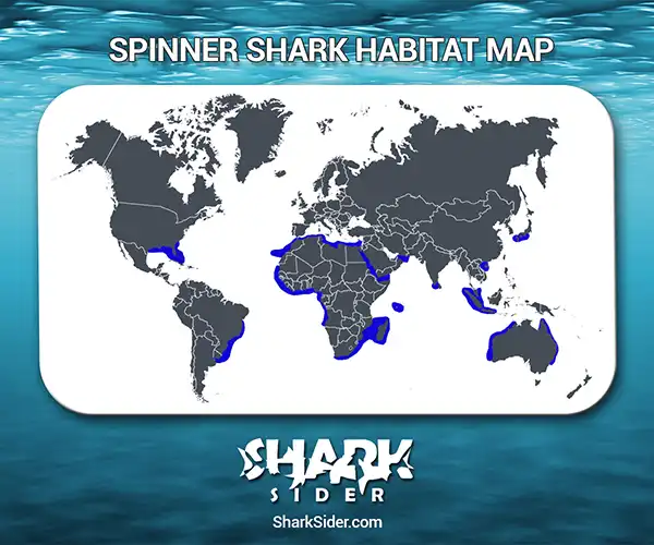 Spinner Shark Habitat Map