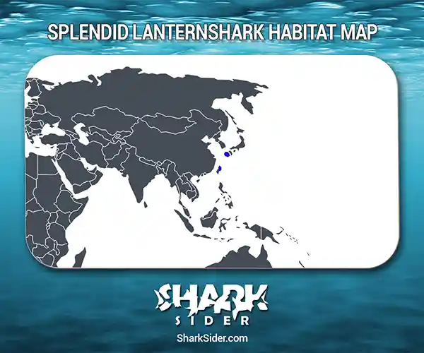 Splendid lanternshark Habitat Map