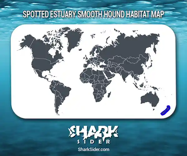 Spotted estuary smooth hound Habitat Map