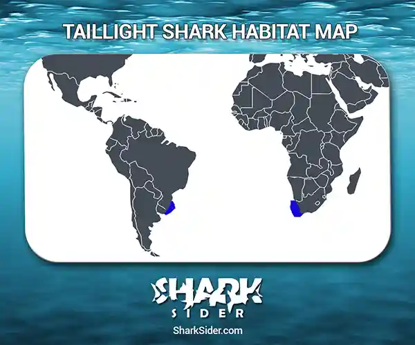 Taillight Shark Habitat Map