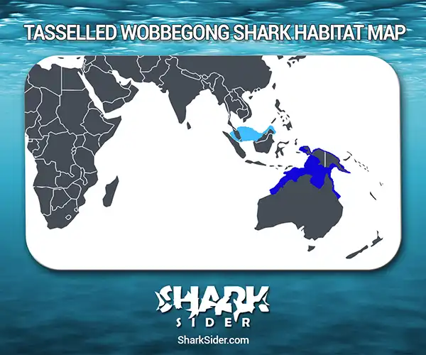 Tasselled Wobbegong Shark Habitat Map