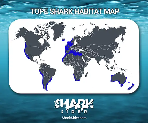 Tope Shark Habitat Map
