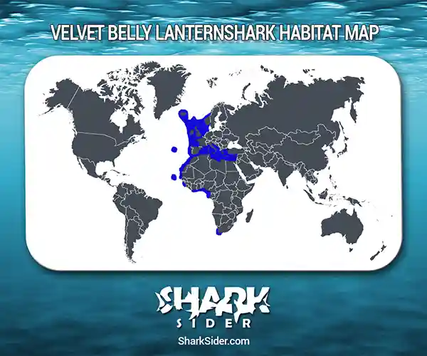 Velvet Belly Lanternshark Habitat Map