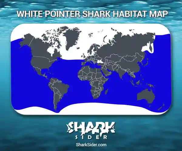 White Pointer Shark Habitat Map