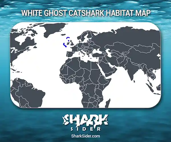 White ghost catshark Habitat Map