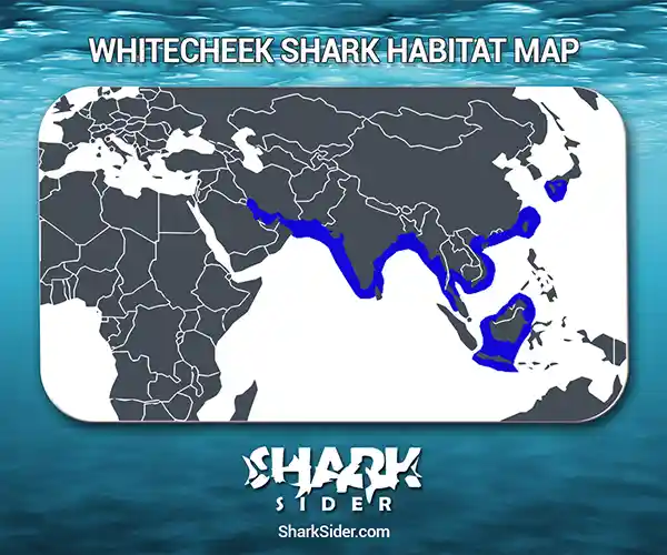 Whitecheek Shark Habitat Map