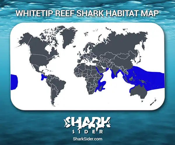 Whitetip Reef Shark Habitat Map