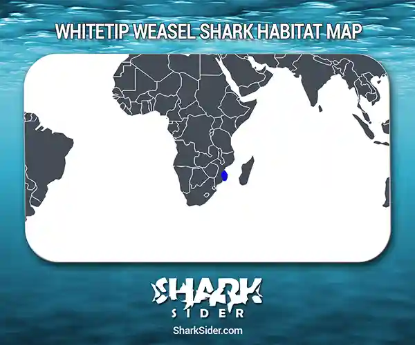 Whitetip Weasel Shark Habitat Map