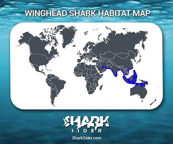 Winghead Shark Habitat Map