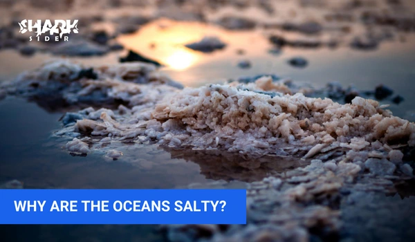 Why are the oceans salty?