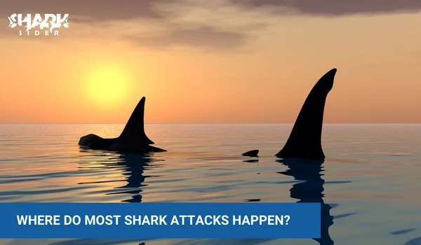 where are most shark attacks in the world