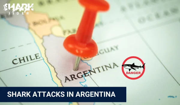 Shark Attacks in Argentina