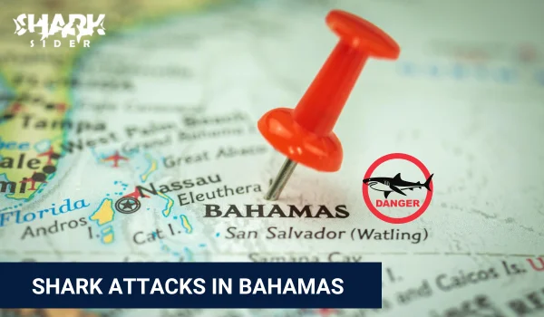 Shark Attacks in Bahamas