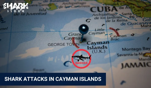 Shark Attacks in Cayman Islands